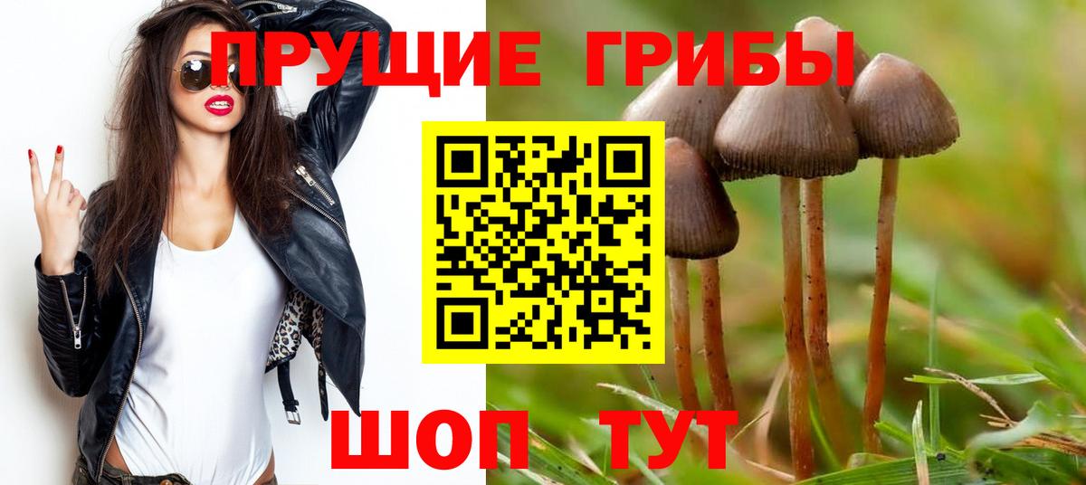 Галлюциногенные грибы мухоморы  Вход с VPN  Усть-Джегута 